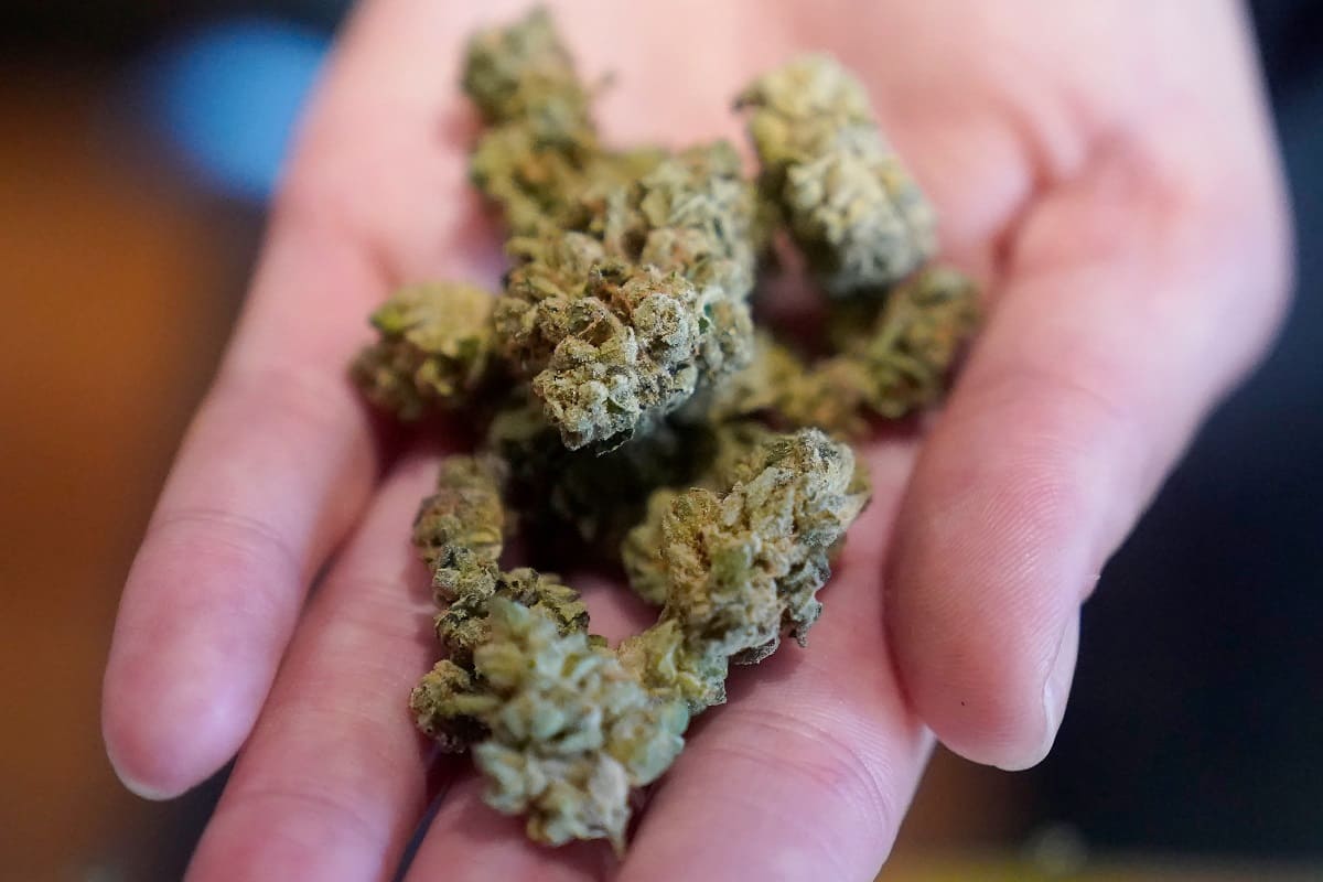 Order cannabis online in Augusta